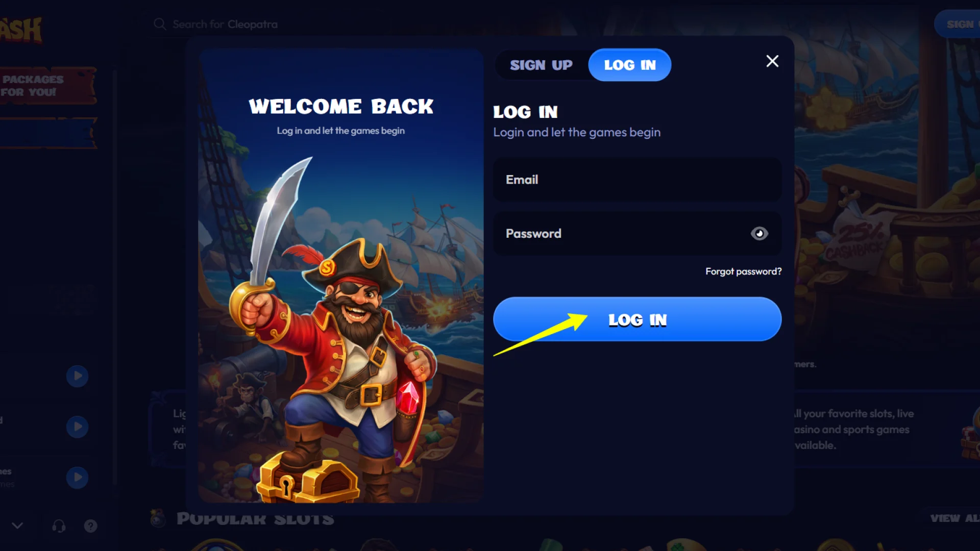Click the main log in button to securely access your personal Smash user dashboard.