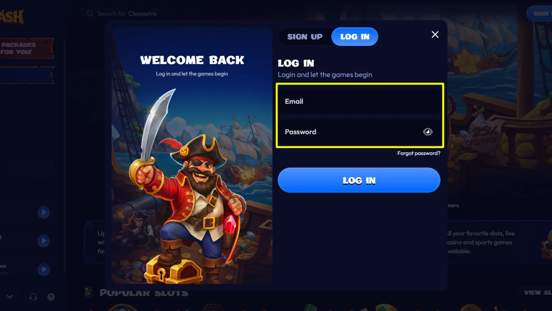 Enter your registered email address and password into the Smash account login form.