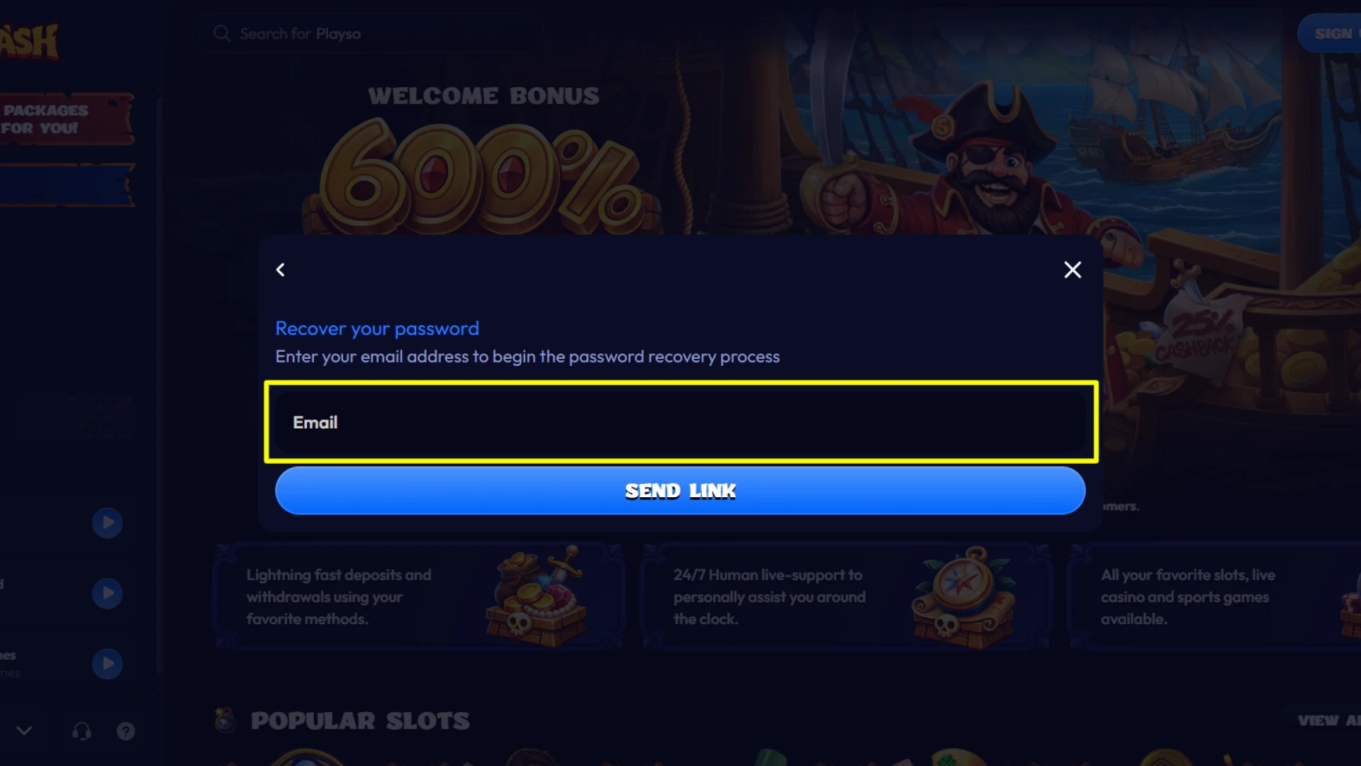 Enter your registered email address into the Smash password recovery form.